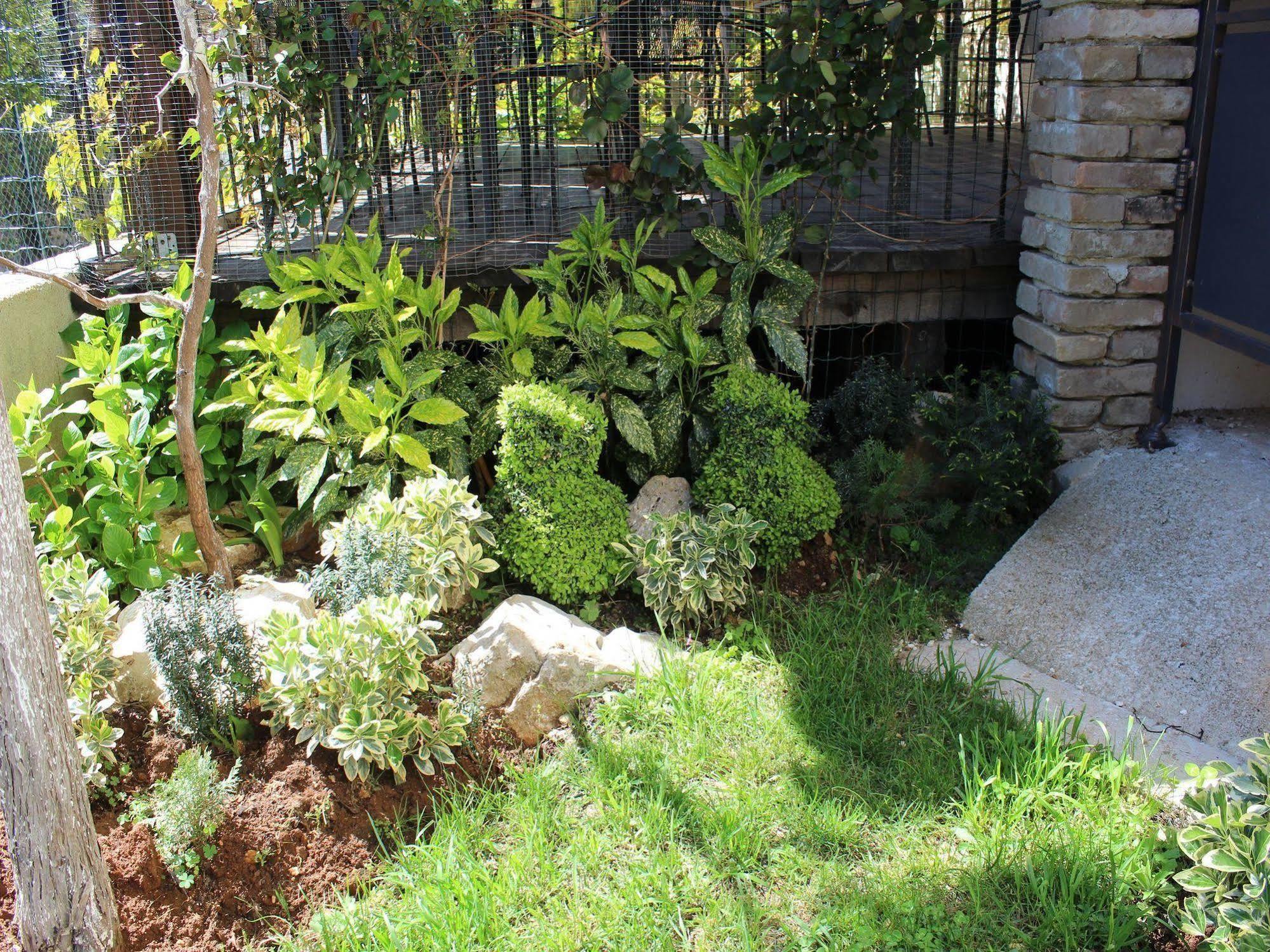 Rooms And Apartment Feral Rovinj Bagian luar foto