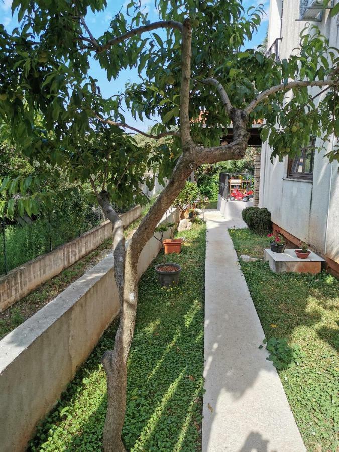Rooms And Apartment Feral Rovinj Bagian luar foto
